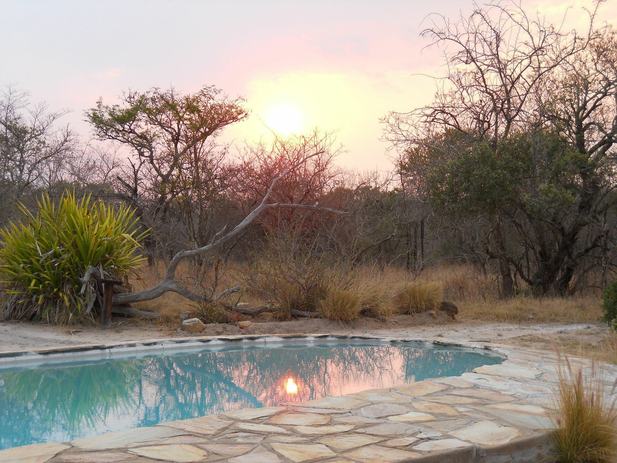Maduma Boma Game Conservancy Hoedspruit Bagian luar foto